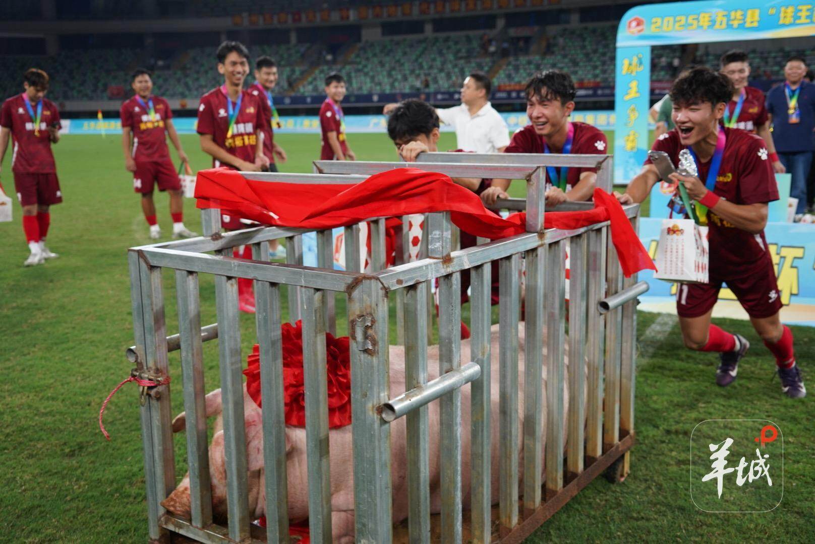 tenan, 据悉, 为什么